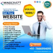 Mindcraft Infotech best website development company