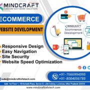 mindcraft infotech best web development company