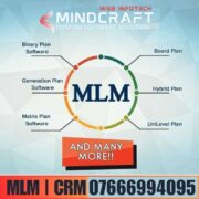 MLM Business in Lucknow